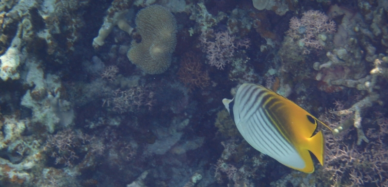 3�΁`9�΂܂ł̉h�{�f���T�|�[�g�b������o�T�v�������g�I�y�L�b�Y�Z�m�r���z
���T�C�g